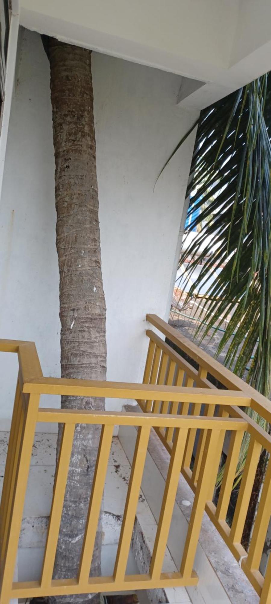 Prakash Holiday Inn Arambol Dış mekan fotoğraf